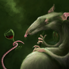 Rat and the shisha